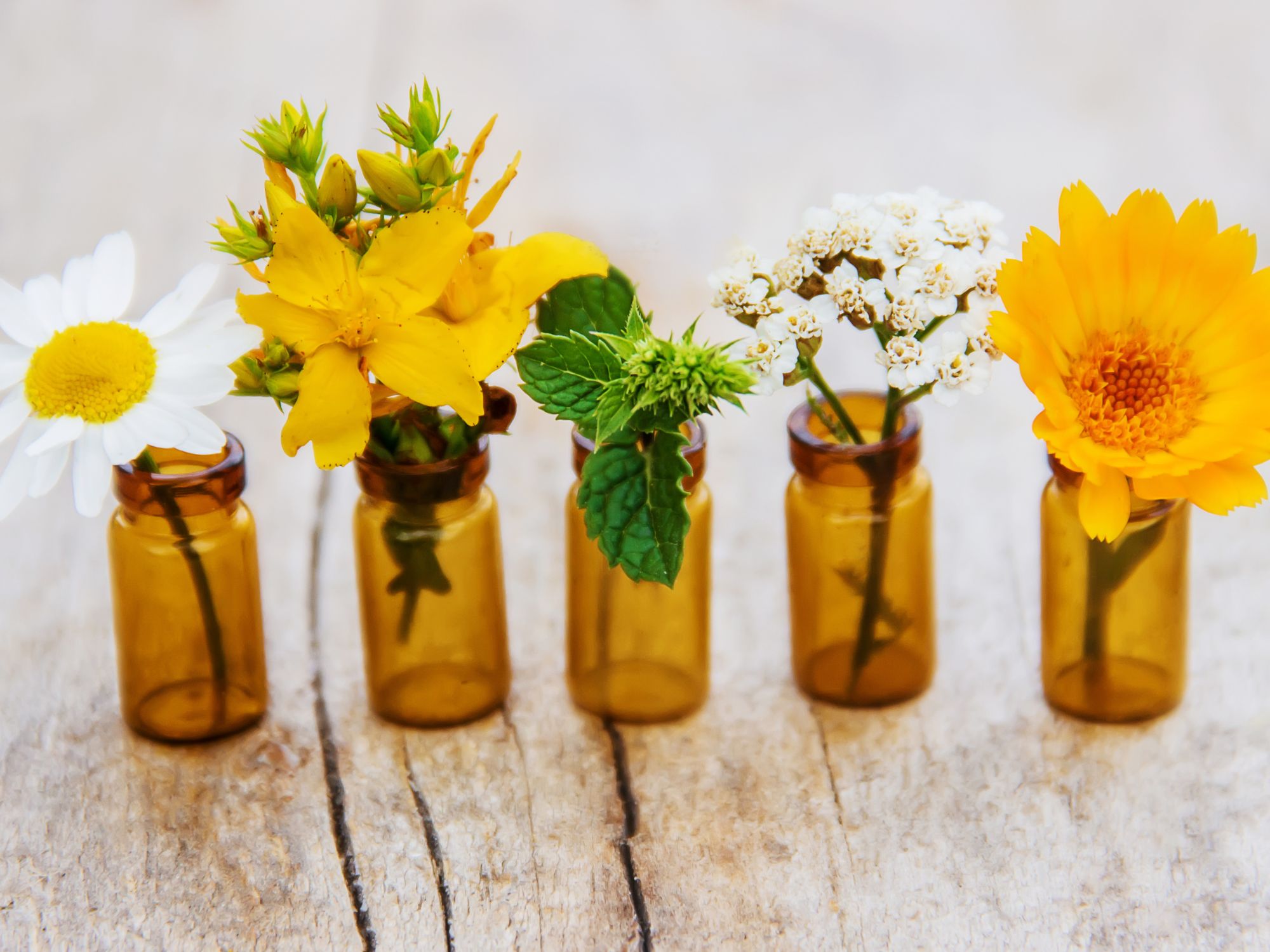 Blütentherapie 1 heilpflanzen in glasflaschen naturheilkunde