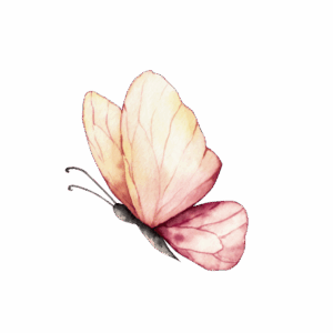 Home 5 papillon rose aquarelle illustration 600x600 1