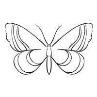 Coaching & Mentoring 13 schmetterling logo coaching transformation gesunde abgrenzung