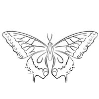 Coaching & Mentoring 7 schmetterling logo coaching transformation personliche entwicklung