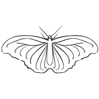 Coaching & Mentoring 10 schmetterling logo coaching transformation uberwindung von hindernissen