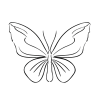 Coaching & Mentoring 14 schmetterling logo coaching transformation umgang mit veranderungen