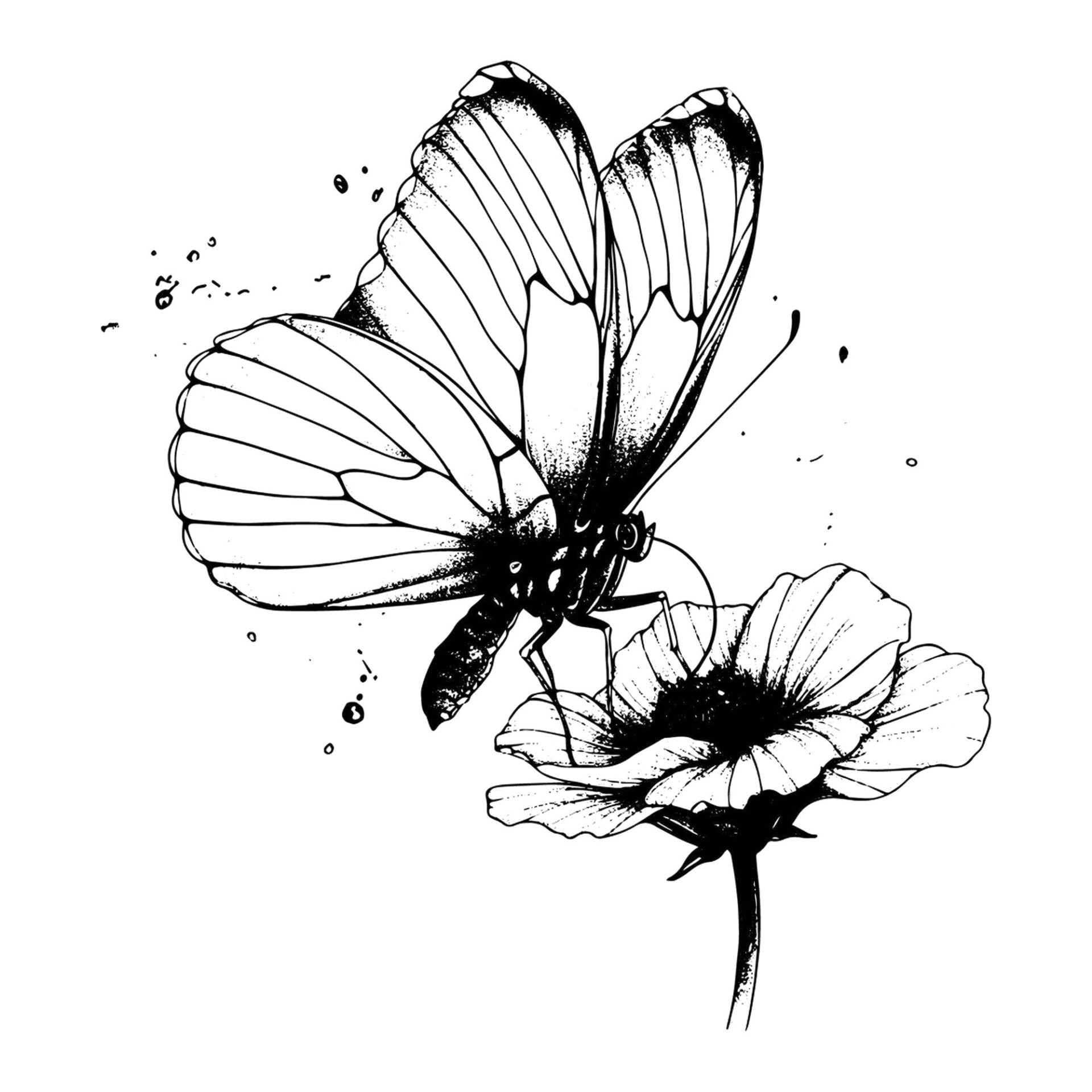 Blütentherapie 5 hand drawn butterfly flower high quality elegant realistic drawing withe