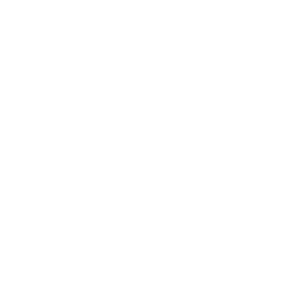 Home 12 logo papillon blanc